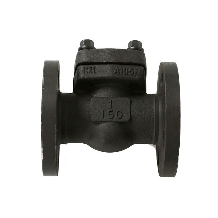 What are the four types of check valves?