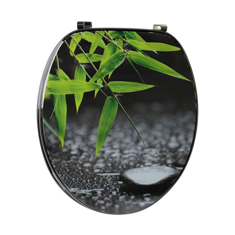 toilet-seat-print--1-_1402731.jpg