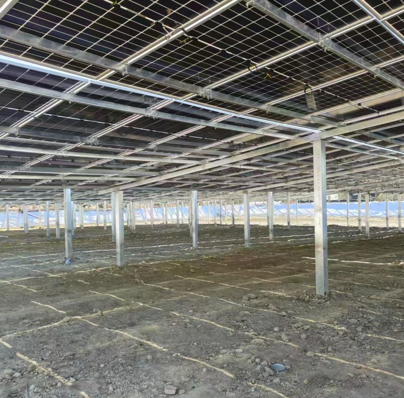 Steel Structure Solutions for Solar Projects in China: A Manufacturer's Guide